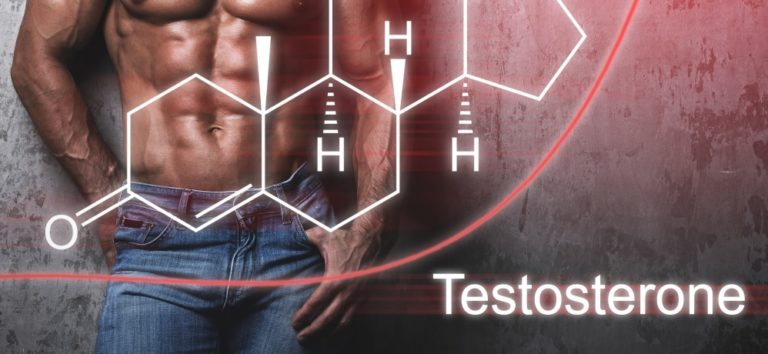 テストステロンの増加