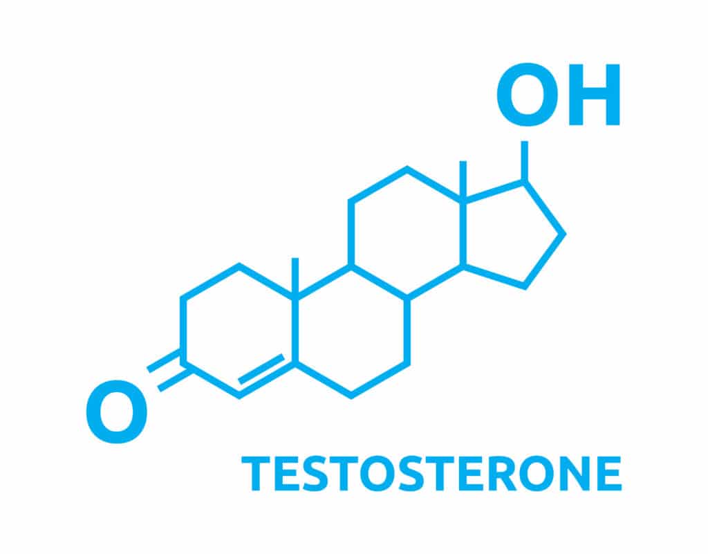 テストステロンの効果効能とは？
