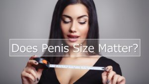 ペニスのサイズ