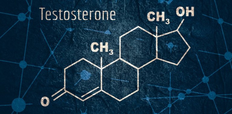 テストステロンへの影響