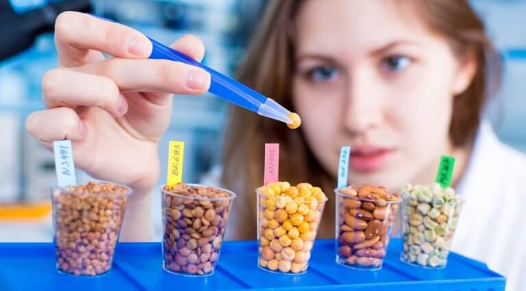 遺伝子組み換え技術を使用した大豆