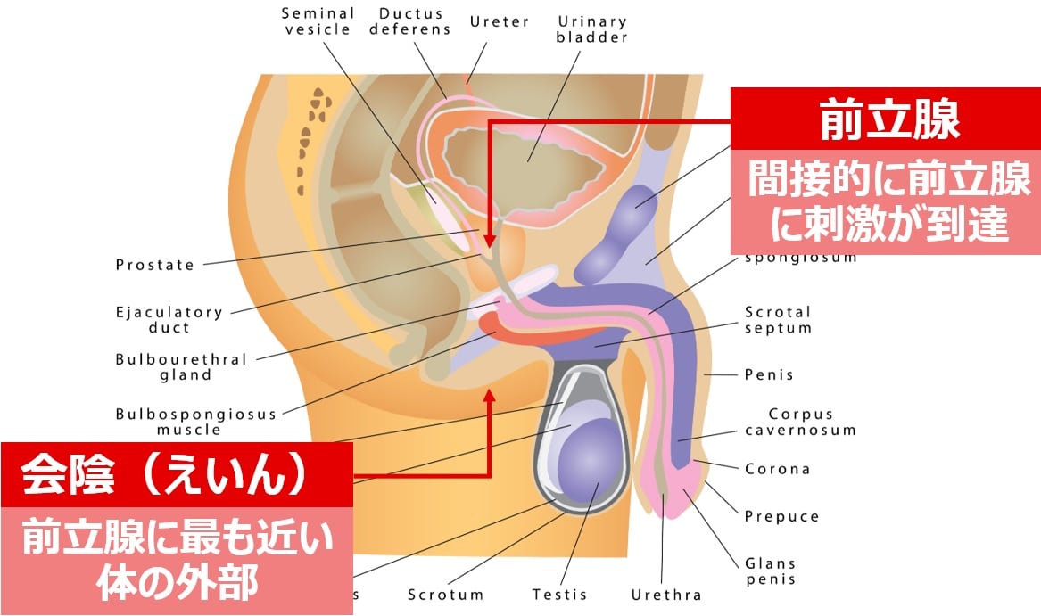 えい ん おなにー