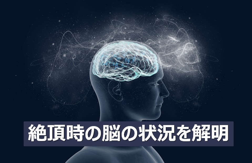 絶頂時の脳の状況
