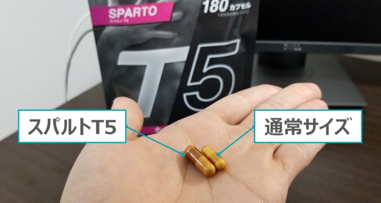2400円 【海外限定】 スパルトT5 ナイトプロテイン