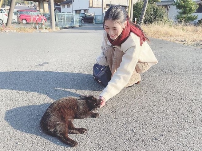 野良猫と戯れる本庄鈴さん