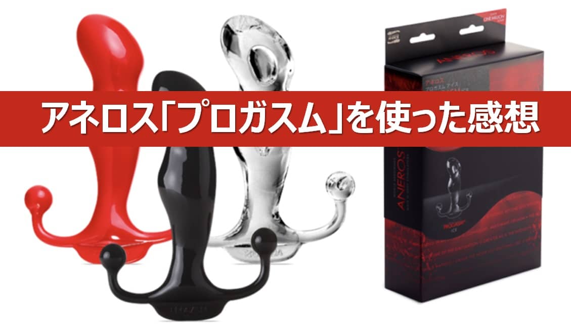 プロガスムの感想