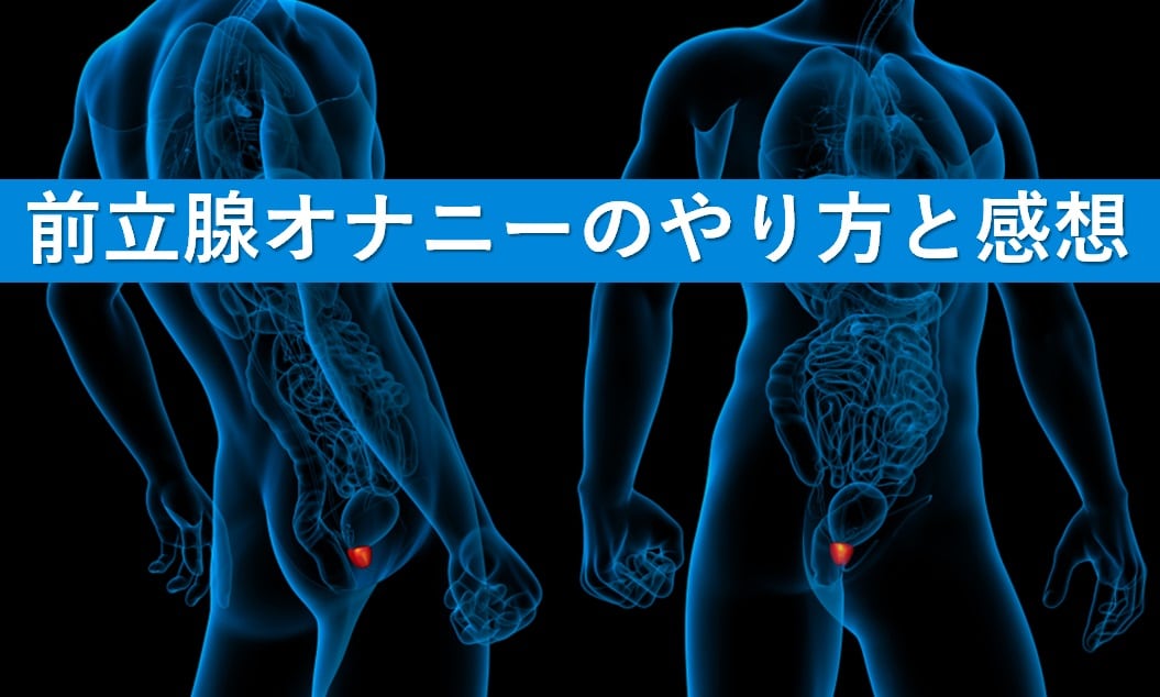 前立腺オナニー