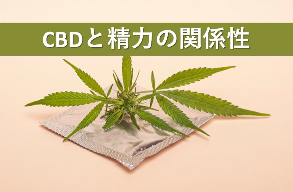 CBDと精力