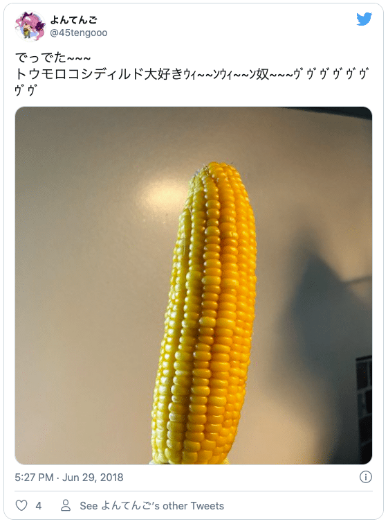 野菜ディルド オナニー