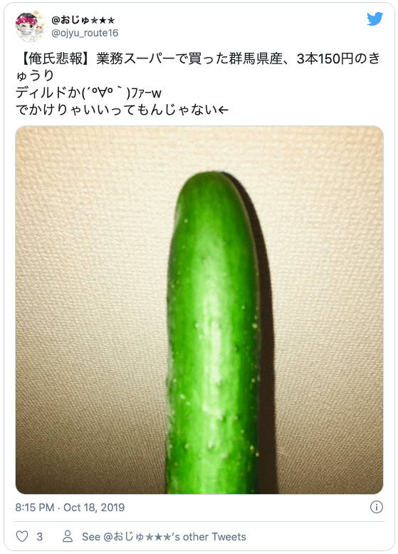野菜ディルド オナニー