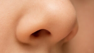 【ブサイク調教】鼻責めの魅力と鼻の穴開発のやり方9選