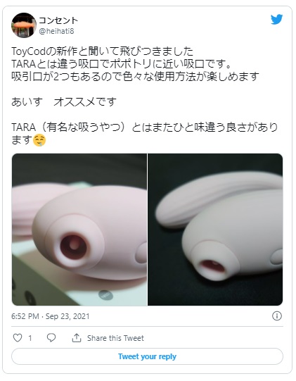 ToyCod あいす