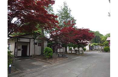 宮城 SMラブホ