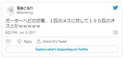動物 セックス